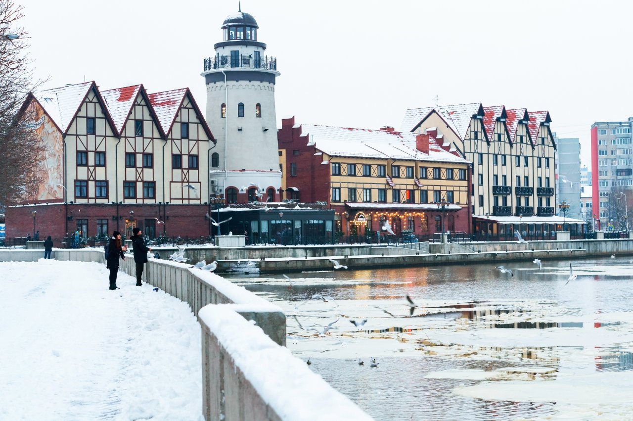 © SeagullNady/ Shutterstock