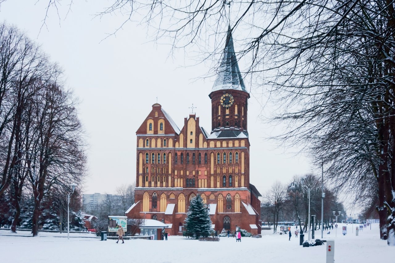 © SeagullNady/ Shutterstock
