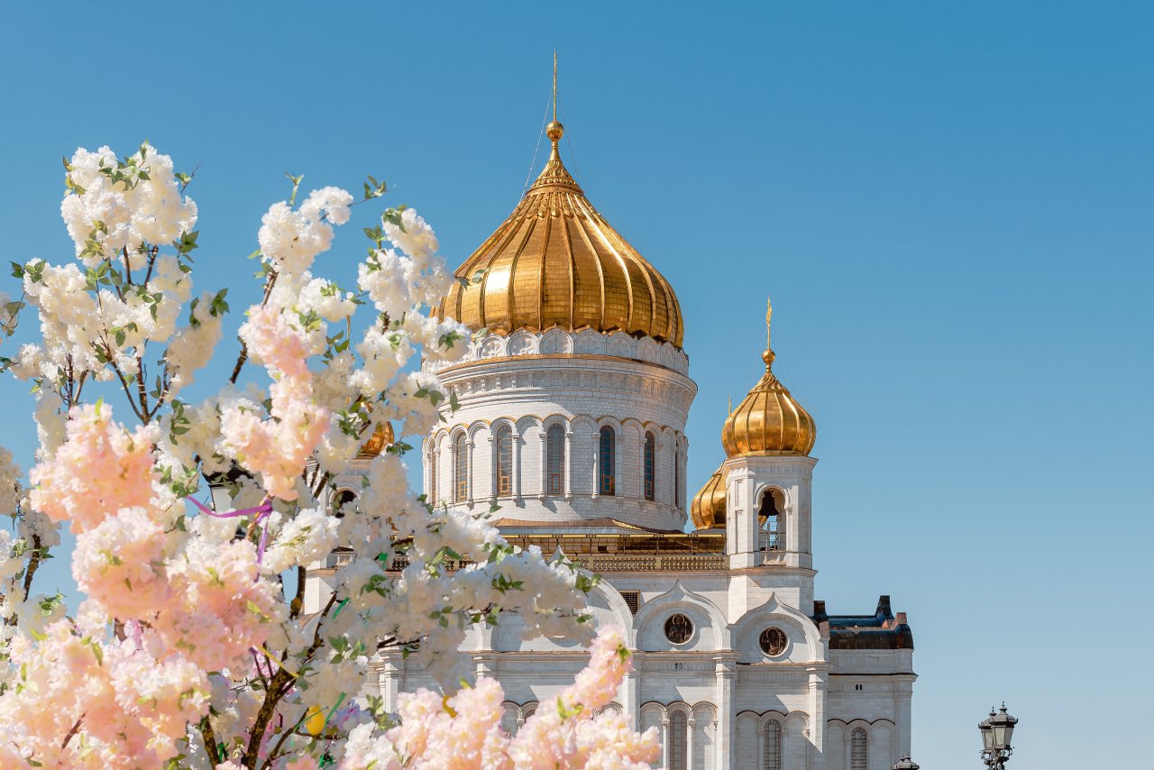 © Anastasia Mazureva/Shutterstock